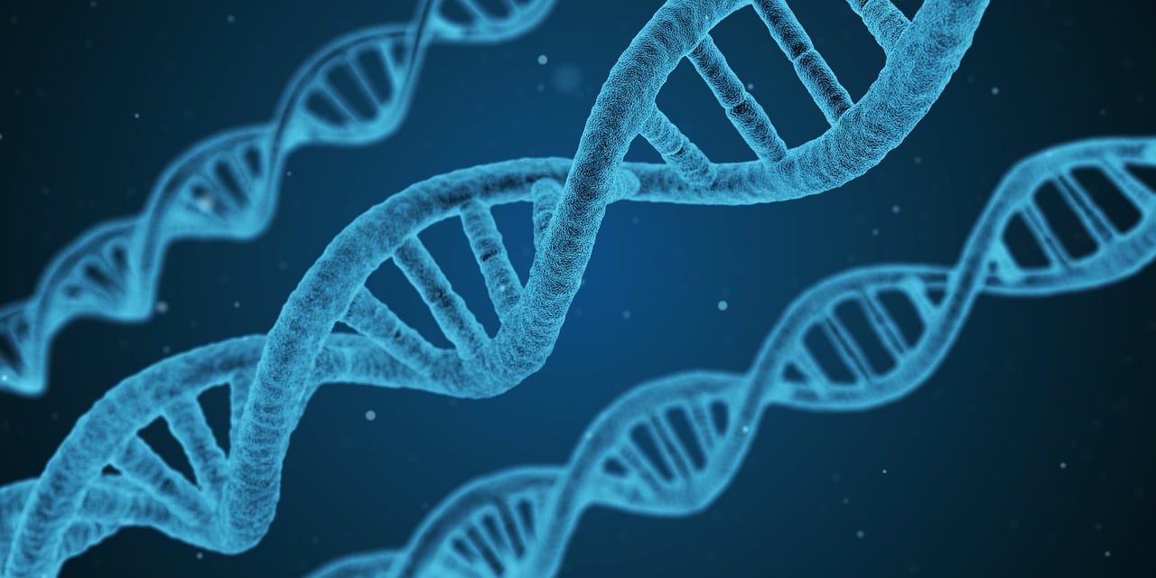 二类医疗器械进销存管理中如何防止库存过度堆积