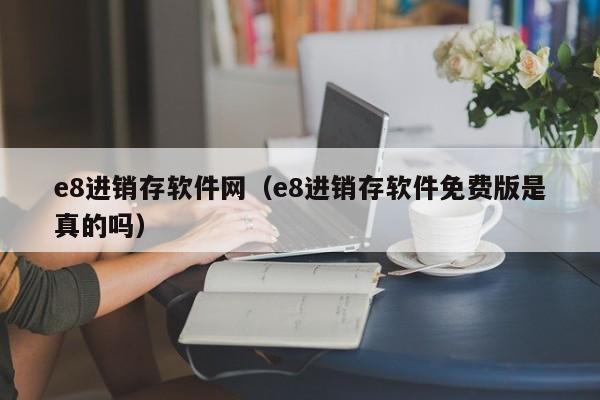 e8进销存软件网（e8进销存软件免费版是真的吗）