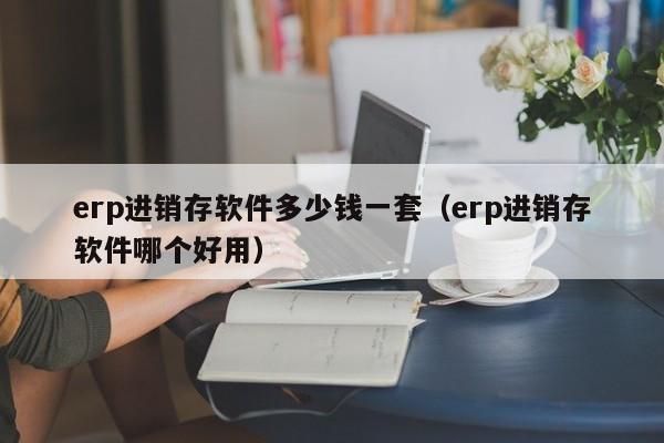 erp进销存软件多少钱一套（erp进销存软件哪个好用）