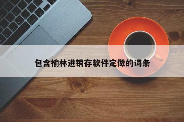 包含榆林进销存软件定做的词条