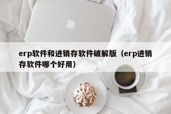 erp软件和进销存软件破解版（erp进销存软件哪个好用）