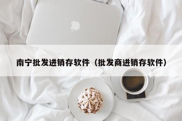 南宁批发进销存软件（批发商进销存软件）