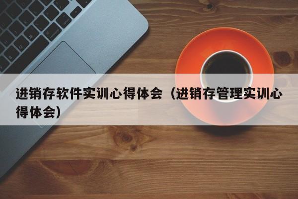 进销存软件实训心得体会（进销存管理实训心得体会）