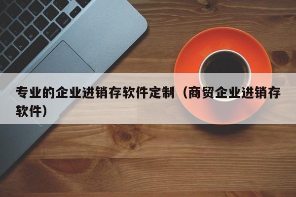 专业的企业进销存软件定制（商贸企业进销存软件）