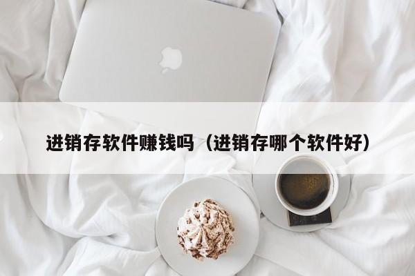 进销存软件赚钱吗（进销存哪个软件好）