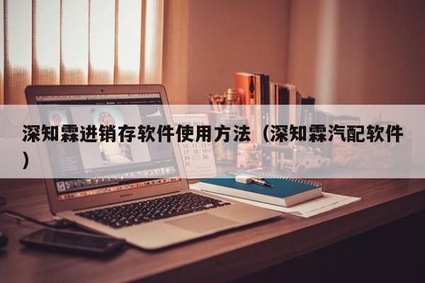 深知霖进销存软件使用方法（深知霖汽配软件）