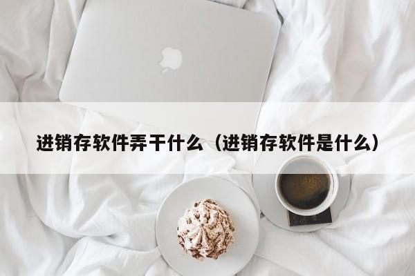 进销存软件弄干什么（进销存软件是什么）