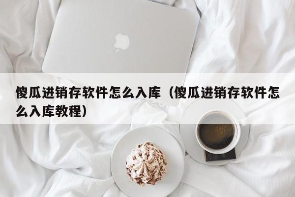 傻瓜进销存软件怎么入库（傻瓜进销存软件怎么入库教程）