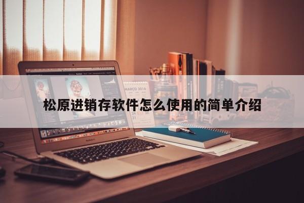 松原进销存软件怎么使用的简单介绍