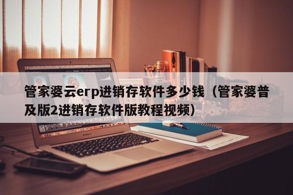 管家婆云erp进销存软件多少钱（管家婆普及版2进销存软件版教程视频）