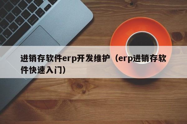 进销存软件erp开发维护（erp进销存软件快速入门）