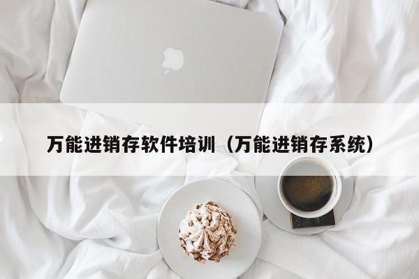 万能进销存软件培训（万能进销存系统）