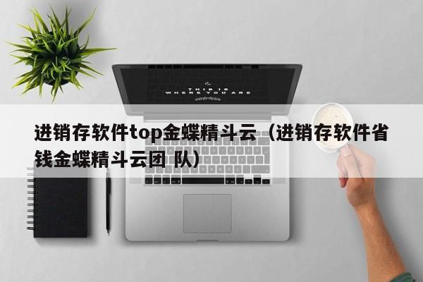 进销存软件top金蝶精斗云（进销存软件省钱金蝶精斗云团 队）