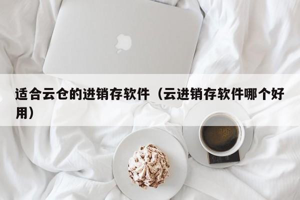 适合云仓的进销存软件（云进销存软件哪个好用）