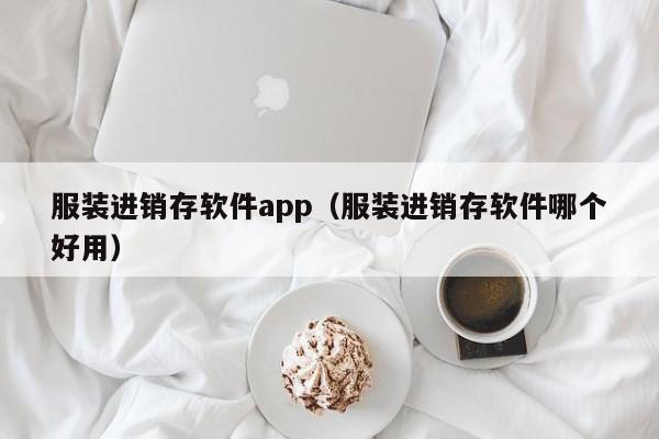 服装进销存软件app（服装进销存软件哪个好用）