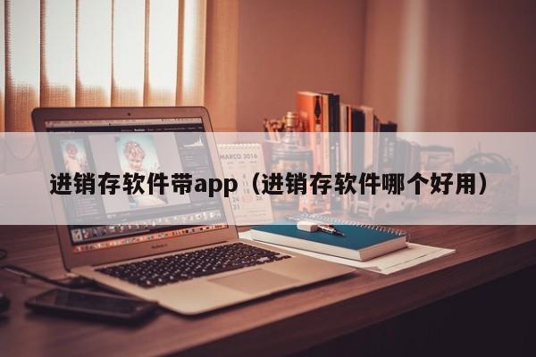 进销存软件带app（进销存软件哪个好用）