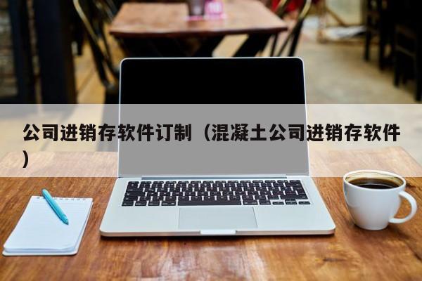 公司进销存软件订制（混凝土公司进销存软件）