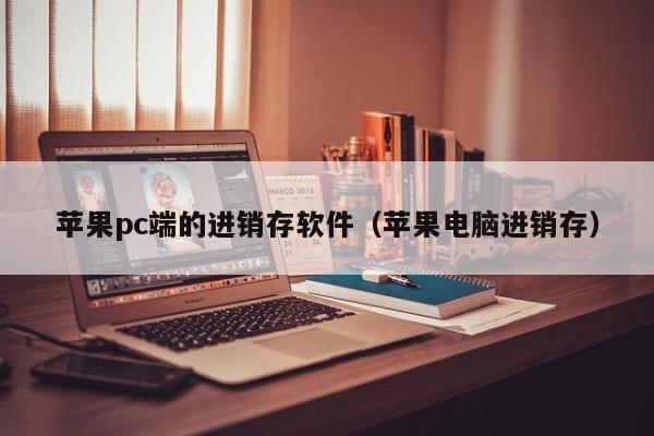 苹果pc端的进销存软件（苹果电脑进销存）