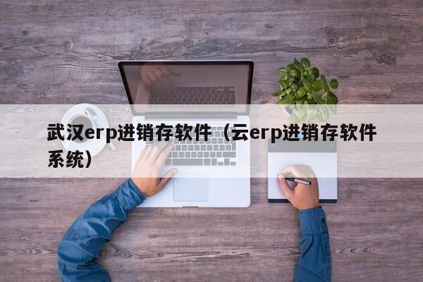 武汉erp进销存软件（云erp进销存软件系统）