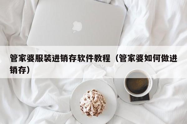 管家婆服装进销存软件教程（管家婆如何做进销存）