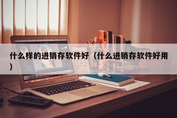 什么样的进销存软件好（什么进销存软件好用）