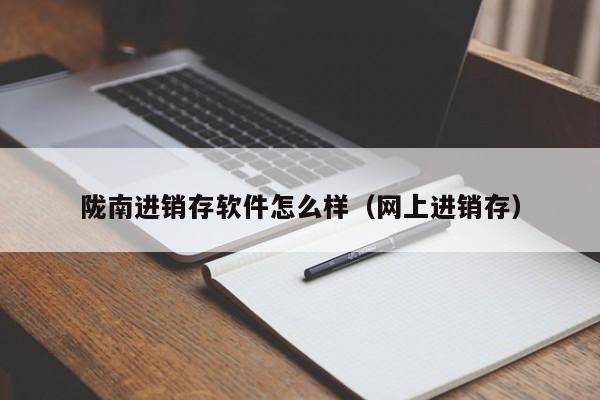 陇南进销存软件怎么样（网上进销存）