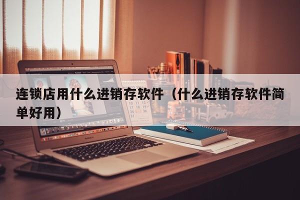 连锁店用什么进销存软件（什么进销存软件简单好用）