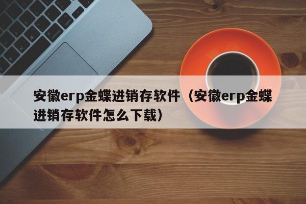 安徽erp金蝶进销存软件（安徽erp金蝶进销存软件怎么下载）