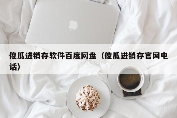 傻瓜进销存软件百度网盘（傻瓜进销存官网电话）