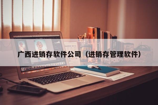 广西进销存软件公司（进销存管理软件）