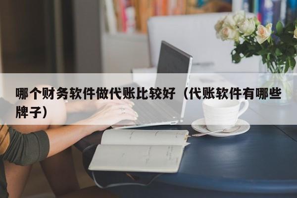 哪个财务软件做代账比较好（代账软件有哪些牌子）