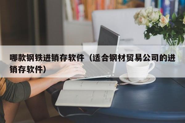 哪款钢铁进销存软件（适合钢材贸易公司的进销存软件）