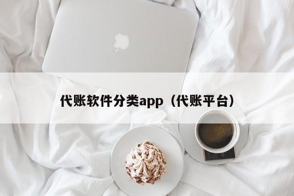 代账软件分类app（代账平台）