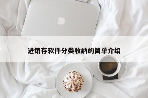 进销存软件分类收纳的简单介绍