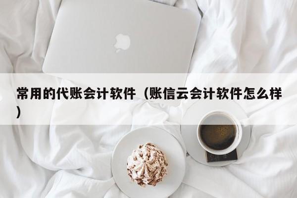 常用的代账会计软件（账信云会计软件怎么样）