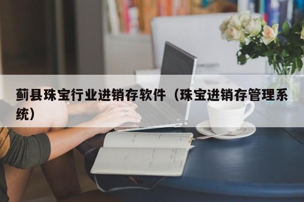 蓟县珠宝行业进销存软件（珠宝进销存管理系统）