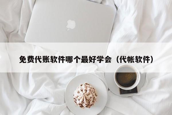 免费代账软件哪个最好学会（代帐软件）