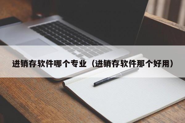 进销存软件哪个专业（进销存软件那个好用）