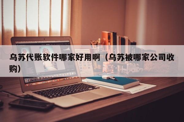 乌苏代账软件哪家好用啊（乌苏被哪家公司收购）