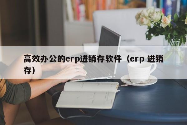 高效办公的erp进销存软件（erp 进销存）