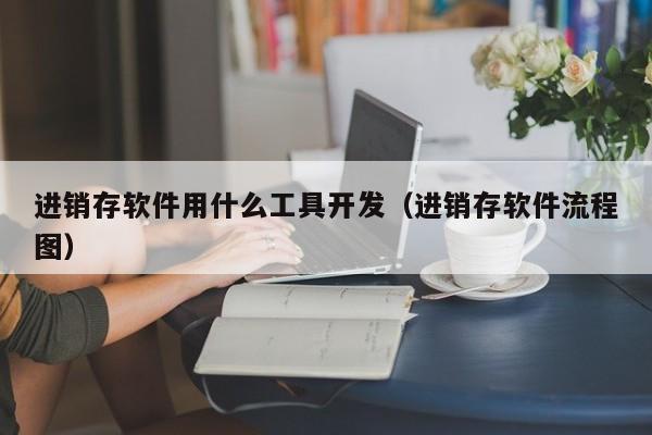 进销存软件用什么工具开发（进销存软件流程图）