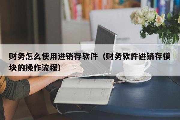 财务怎么使用进销存软件（财务软件进销存模块的操作流程）