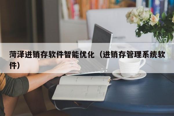 菏泽进销存软件智能优化（进销存管理系统软件）