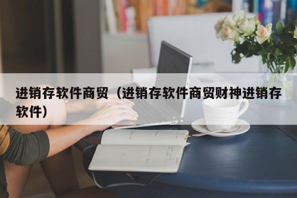 进销存软件商贸（进销存软件商贸财神进销存软件）