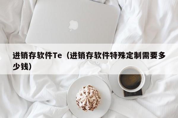 进销存软件Te（进销存软件特殊定制需要多少钱）