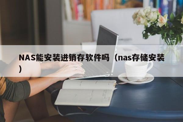 NAS能安装进销存软件吗（nas存储安装）