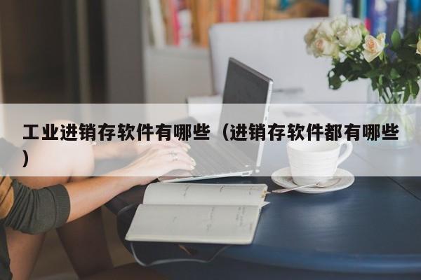 工业进销存软件有哪些（进销存软件都有哪些）