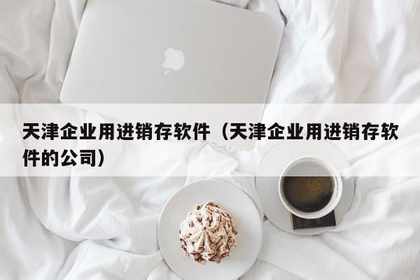 天津企业用进销存软件（天津企业用进销存软件的公司）