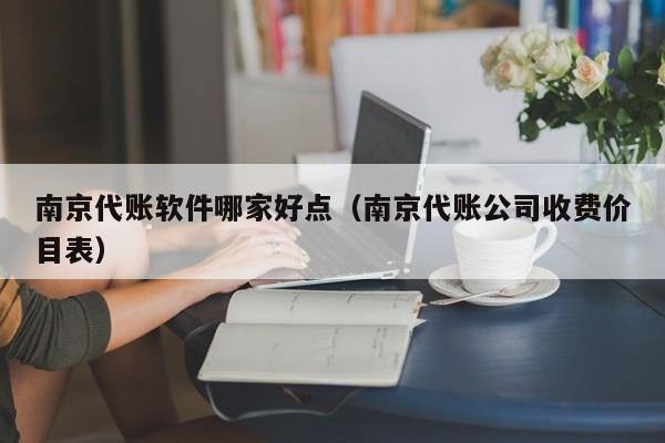 南京代账软件哪家好点（南京代账公司收费价目表）