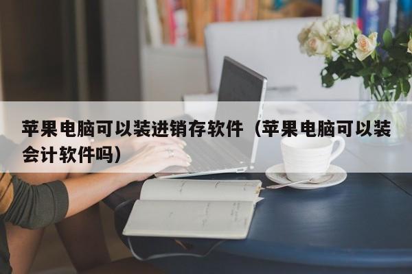 苹果电脑可以装进销存软件（苹果电脑可以装会计软件吗）